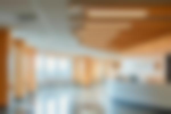 四、学术沉淀：持续精进的