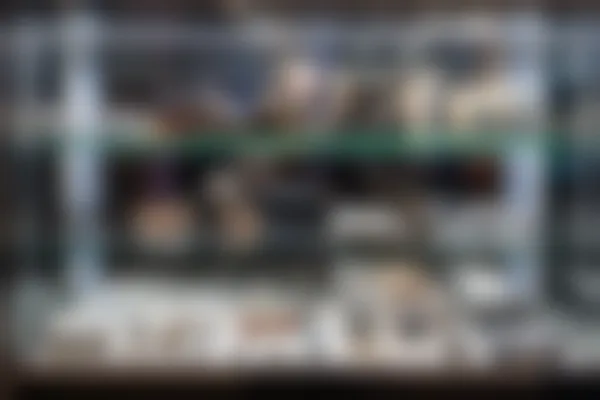 深圳深东爱尔眼科医院2026年近视手术费用详情:美国强生眼力健新无极晶体价格21362元起