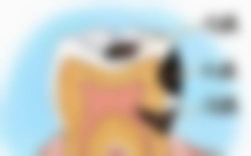 厦门海沧瑞川口腔(慈济一里口腔诊所)收费价格表