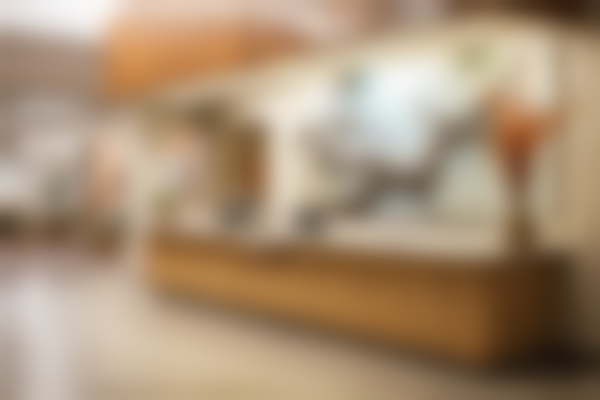 厦门海沧瑞川口腔(慈济一里口腔诊所)