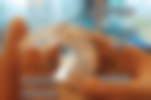 苏州海顺口腔特色诊疗项目与技术优势