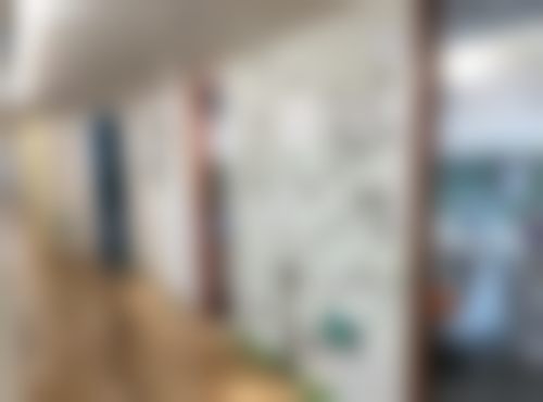 上海瑞泰口腔（世纪公园分院）医生团队介绍