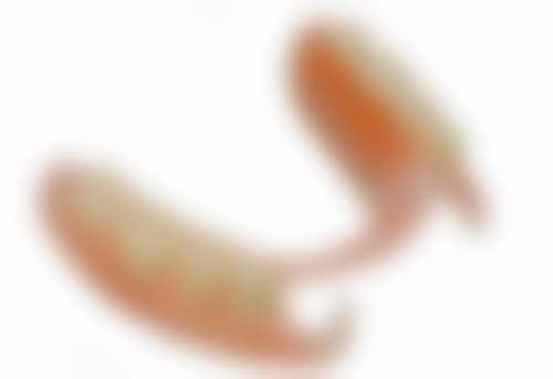 赵雪丽医生项目收费价格