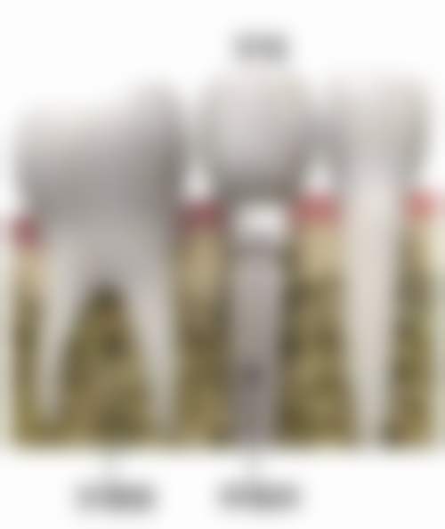 深圳同盛口腔门诊部（罗湖院区）地址电话、营业时间