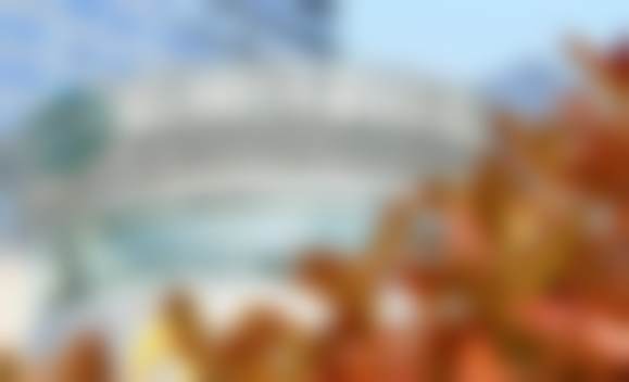 吕越洋医生执医荣誉