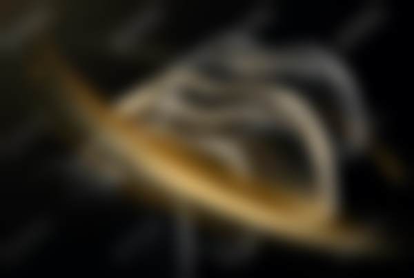 安阳殷都大树口腔门诊部医生团队介绍