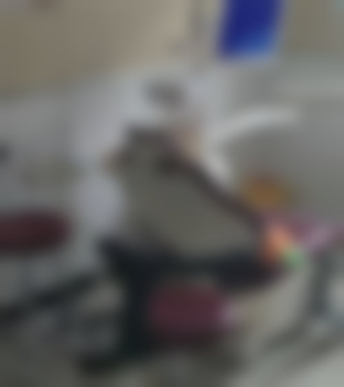 济南历下诺雅口腔诊所医生团队介绍