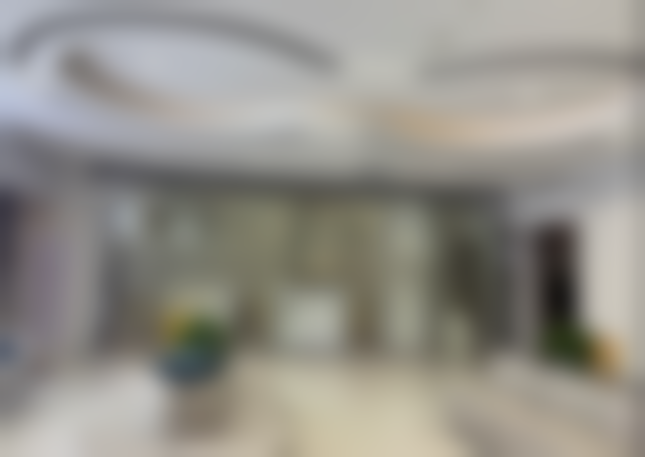 朱东珅所在公司信息