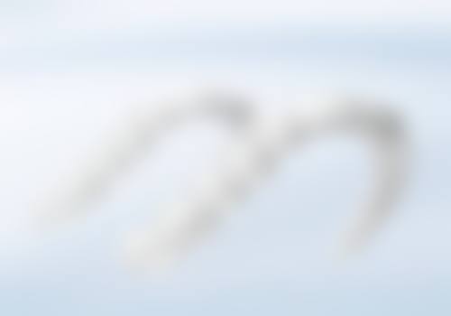 上海文鸿口腔门诊部特色诊疗项目与技术优势