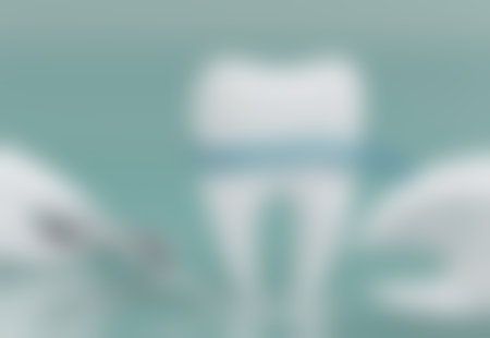 沈国成医生执医荣誉