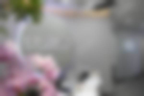 丹阳康洁爱齿口腔门诊部预约挂号方式