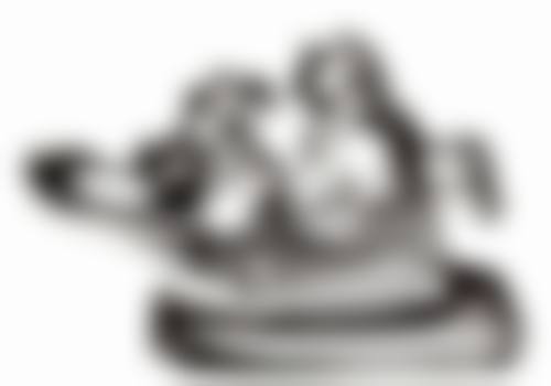 山东临沂兰山正泰口腔医生团队介绍