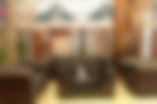 Maria Costanza Soldini