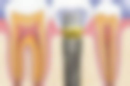 宁波皓灵口腔(堇山中路店)医生团队介绍