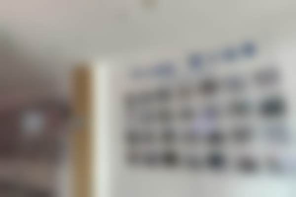 罗锦医生执医荣誉