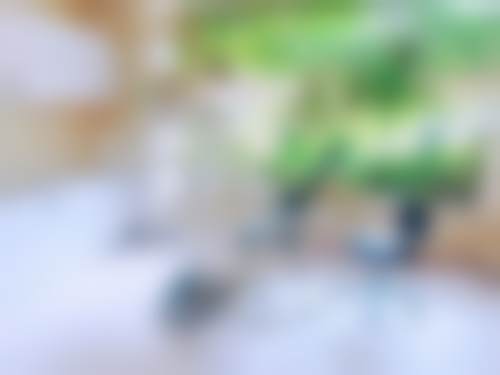 广东揭阳牙博士口腔医生团队介绍