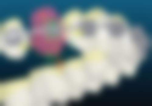 杭州西湖雅康口腔门诊部医生团队介绍