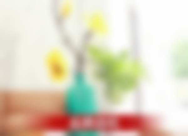 山东晋中刘双全口腔（碧桂园店）收费价格表