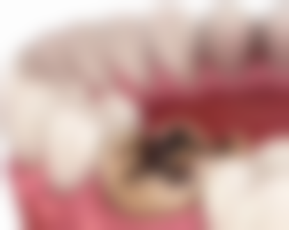 刘宗锦医生执医荣誉