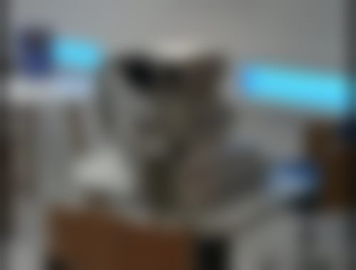 上海未来视界少儿眼科门诊部（长宁店）门诊营业时间。
