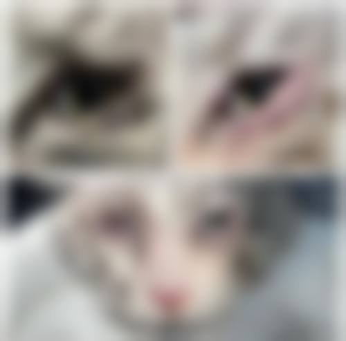 无锡华厦眼科治疗反馈与口碑评价。