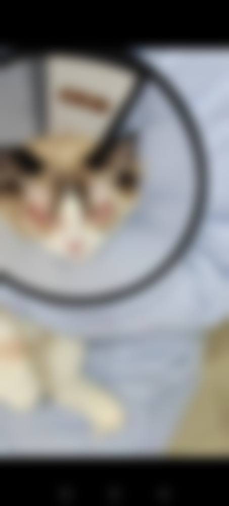 南阳南石眼科医院预约挂号方式。