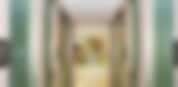 郑荣医生执业经历