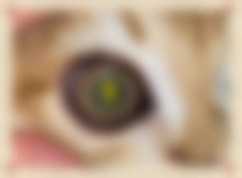 绥中县医院眼科治疗反馈与口碑评价。