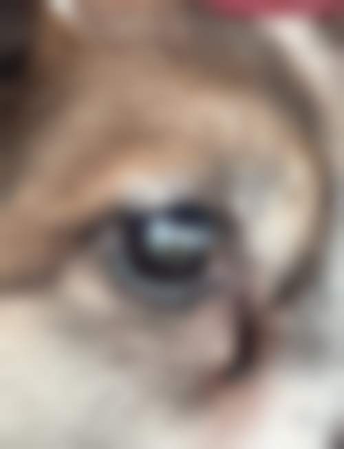 上海同济大学附属天佑医院眼科医生团队经验稳定。