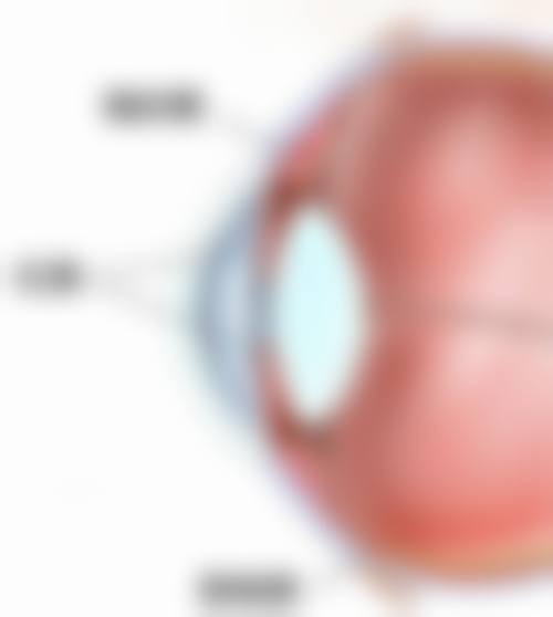 辛集复明医院眼科治疗反馈与口碑评价。