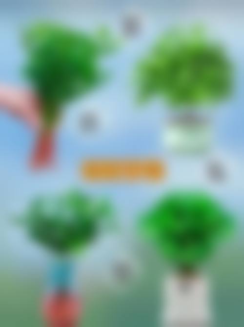 湖南美辰医疗美容有限公司擅长项目。