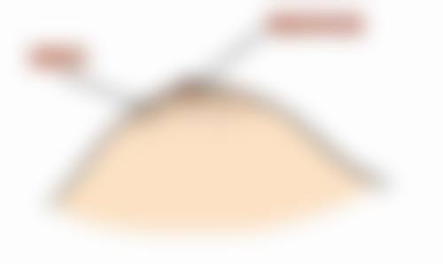 优惠活动详情——透明价格限时享