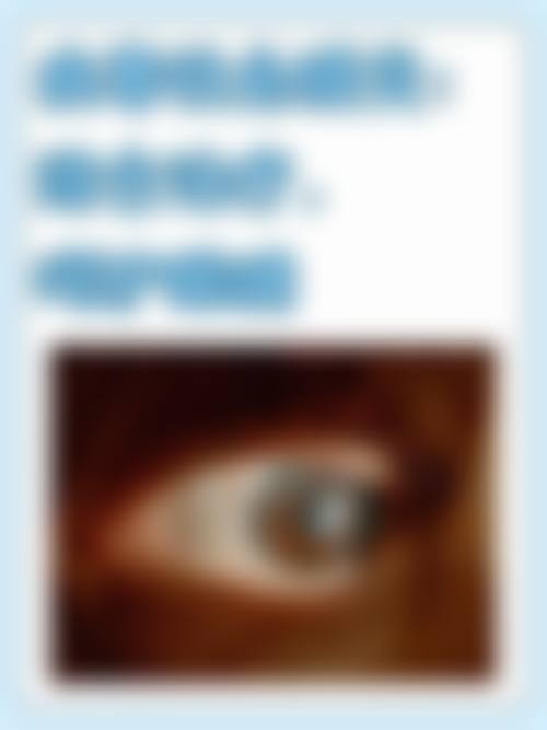 擅长项目详解
