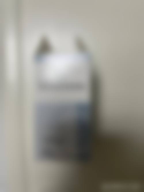擅长项目详解