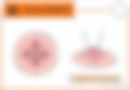 天津津美医疗美容诊所治疗反馈与口碑评价。