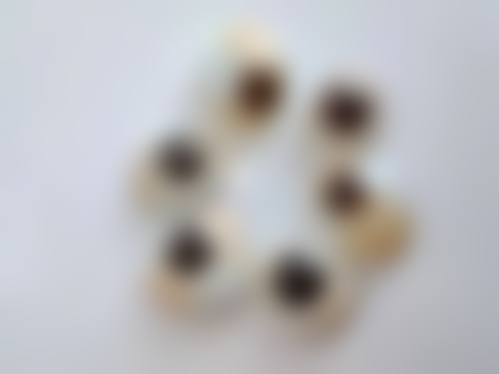 预约优惠活动