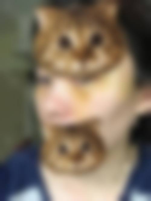 专属优惠活动,性价比之选不容错过