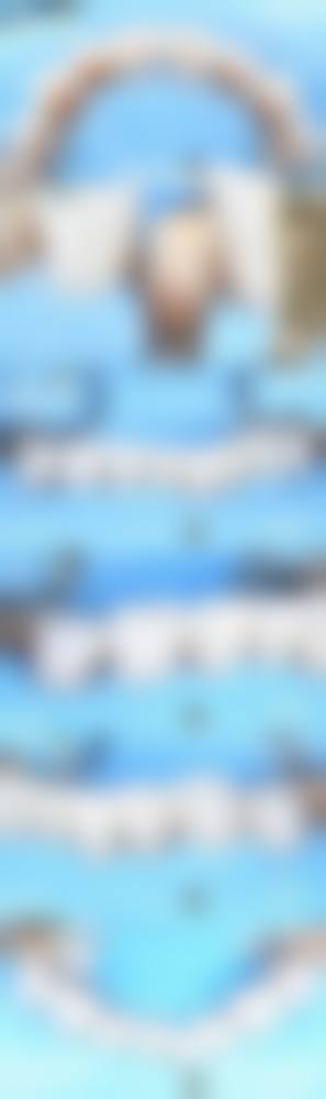服务流程与患者保护