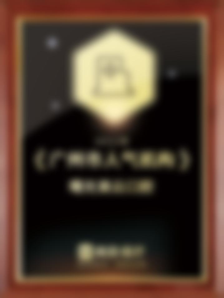 擅长项目详解