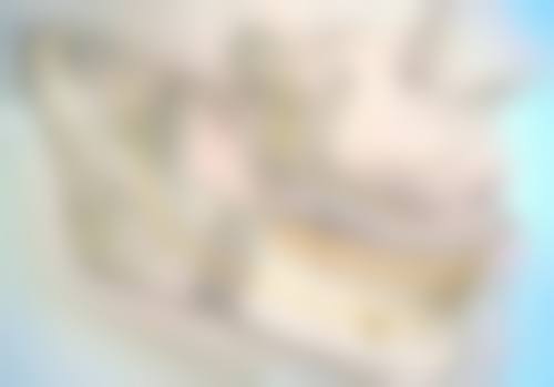 就诊与预约信息