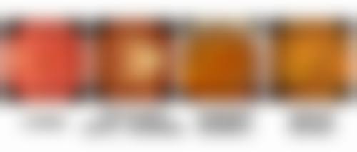 临床骨干与骨干医生团队介绍