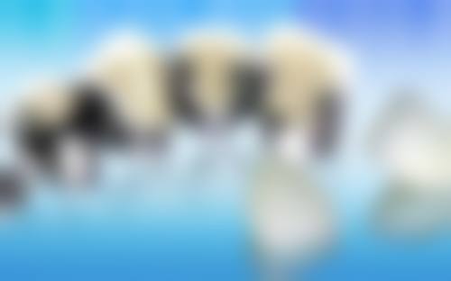 特色科室与诊疗项目——精细解决各类口腔问题