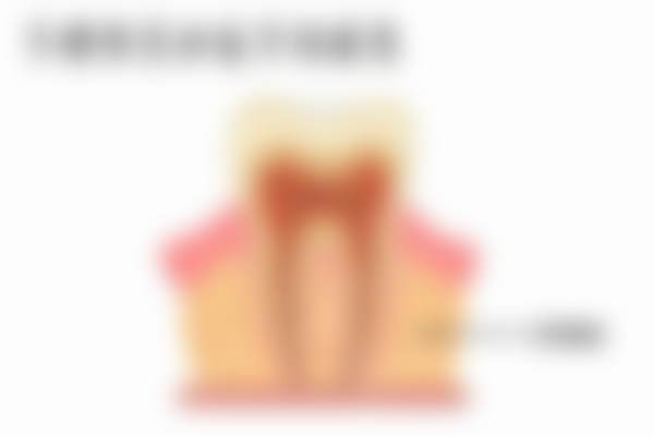 三、医院优势拆解——为什么Nico Peterke的失败实例极少?