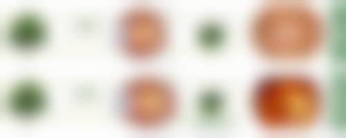 诊疗特色总结
