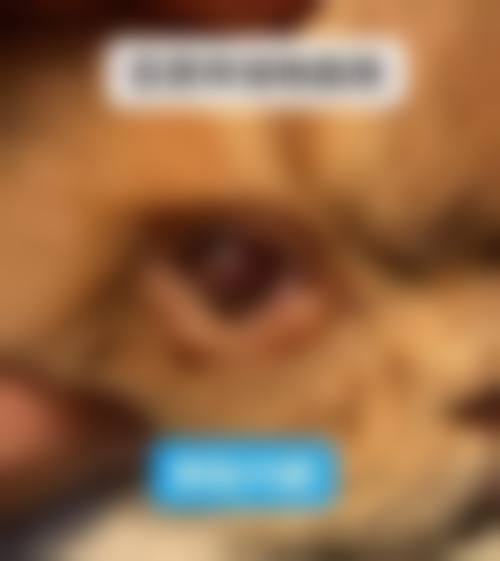 医生资质介绍